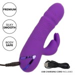 CALEXOTICS  MANHATTAN BEACH MARVEL VIBRATOR RabbIT PRPLE BY CALIFORNIA DREAMI
